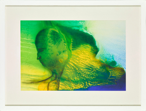 Foto: Johannes Stoll © Belvedere, Wien