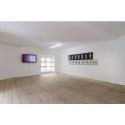 Foto: Nicole Prutsch; Ausstellungsansicht 'Double Faced Imagery' im WellWellWell 2015 (curatier ...