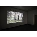 Foto: Annja Krautgasser; Videoinstallation Waldszenen, Annja Krautgasser | AWAY exhibition Stor ...